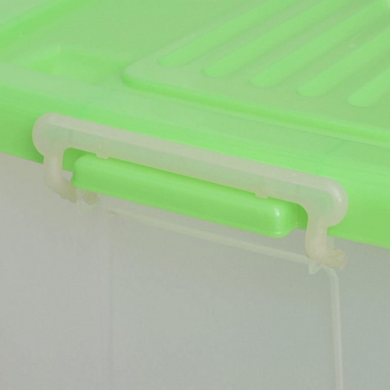 Контейнер для хранения, 75 л. 700х500х380 мм Darel Box пластиковый с крышкой, прозрачный/мятный