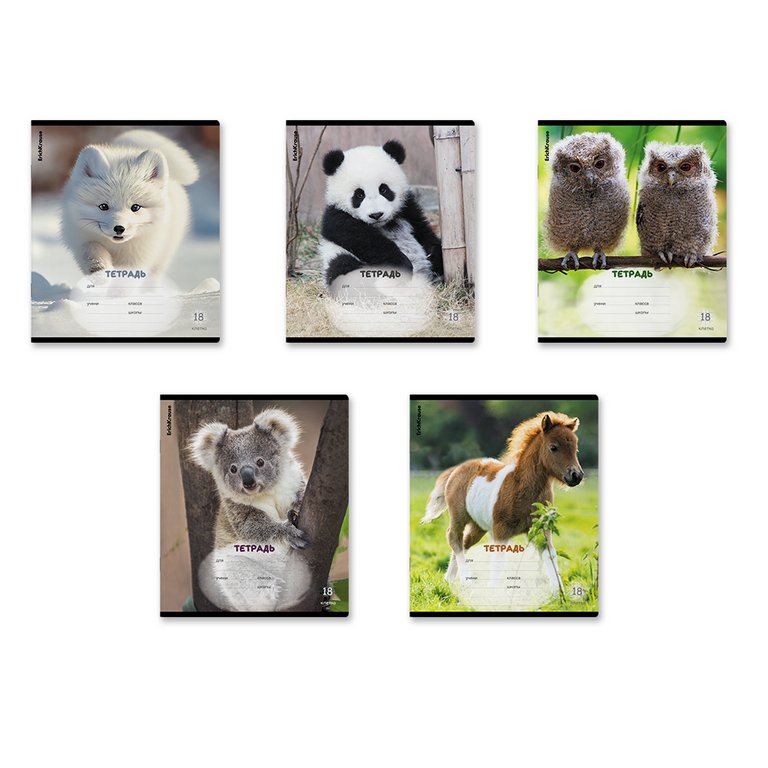 Тетрадь 18 лист кл. А5 ErichKrause "Пушистики" мелов. обл.