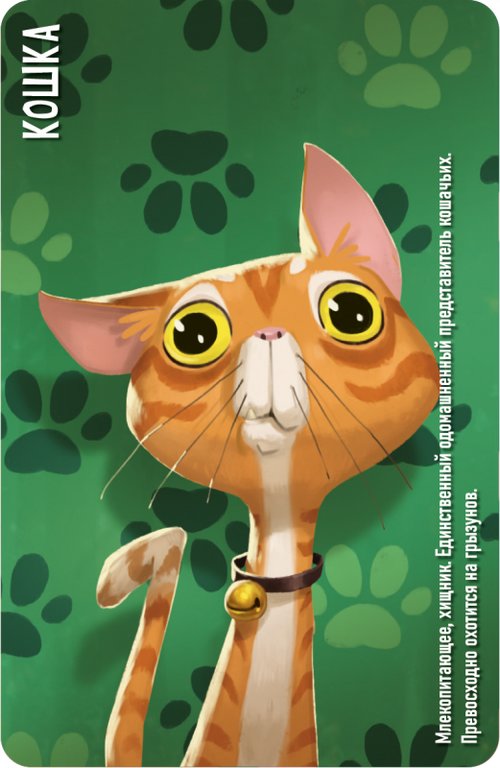 Игра настольная  .8+ с карточками "Similo: Животные" (2+ игроков, 10+ мин) Hobby World