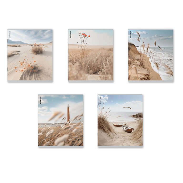 Тетрадь 48 лист кл. А5+ на скрепке "Pasifico" ErichKrause, 5 видов