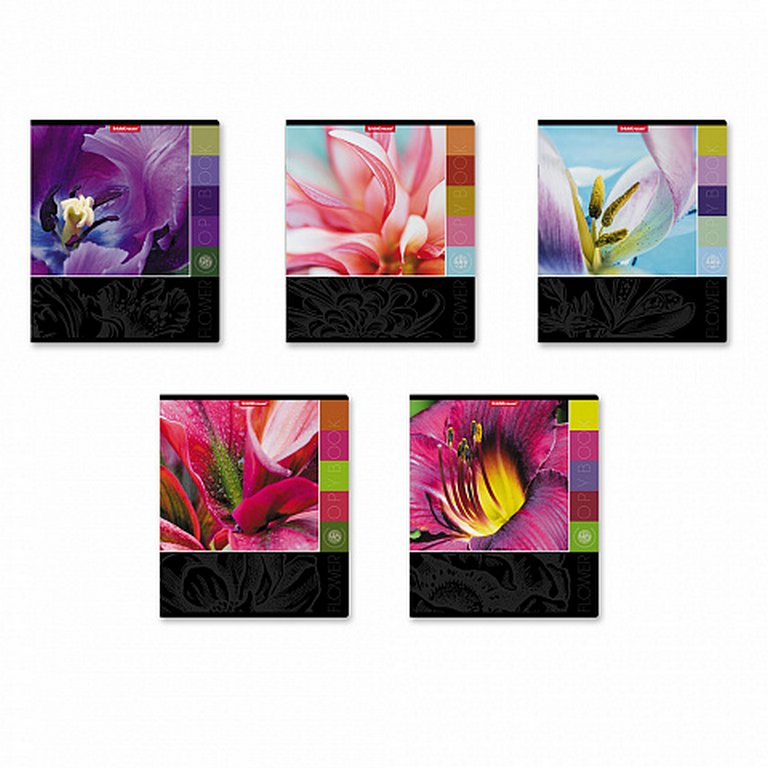 Тетрадь 96 лист кл. А5 на скрепке "Цветовая палитра"