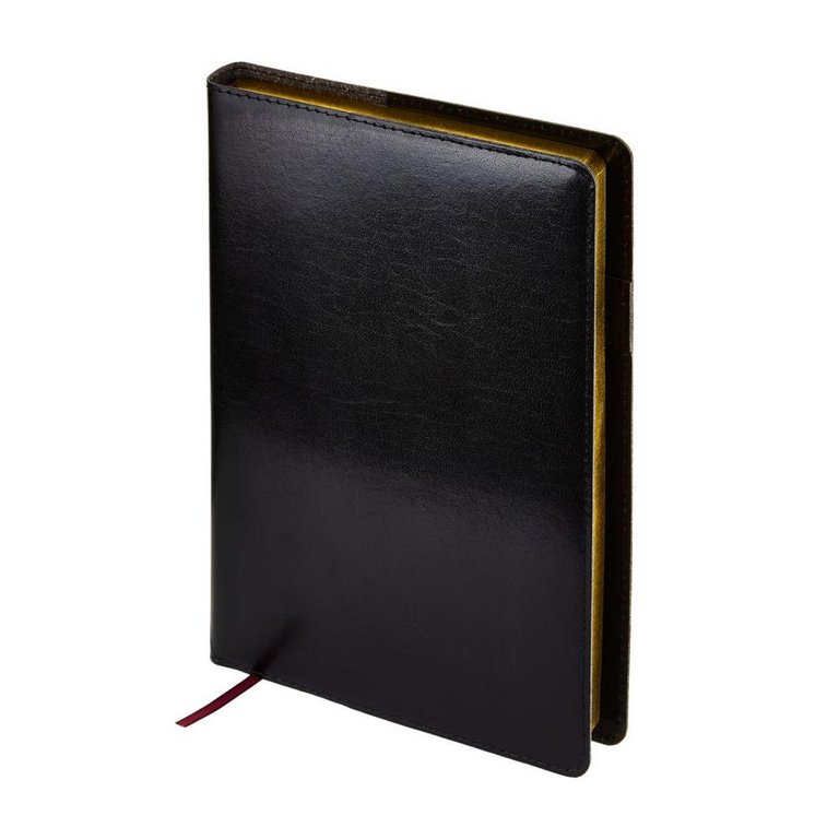 Ежедневник полудат. 148*210 мм Bruno Visconti "Profy", со сменным блоком, черный