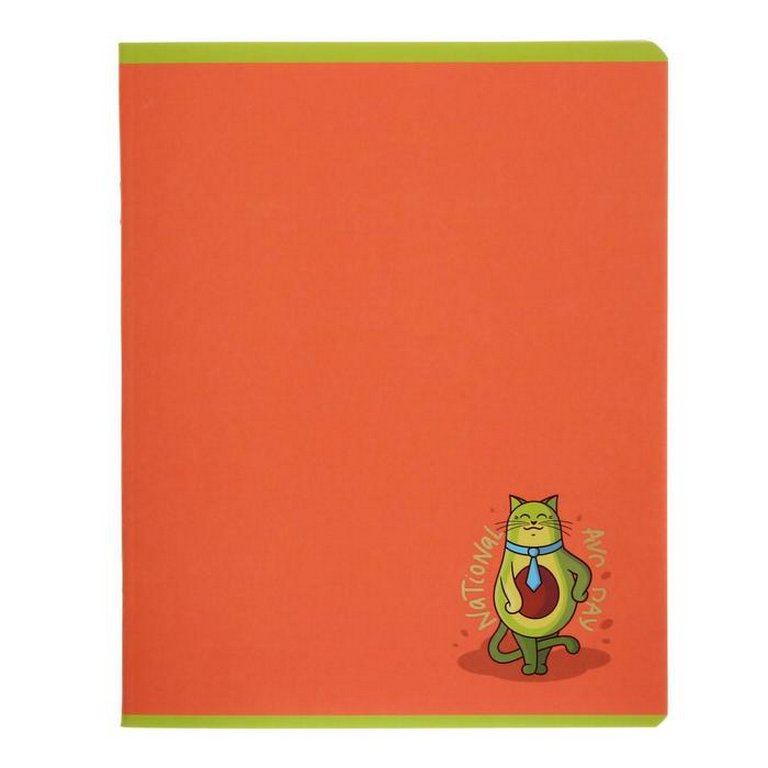 Тетрадь 48 лист кл. А5 на скрепке "Авокот"