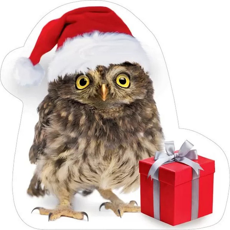 Наклейка оформительская на скотче зимняя "Сова" 194*194 мм