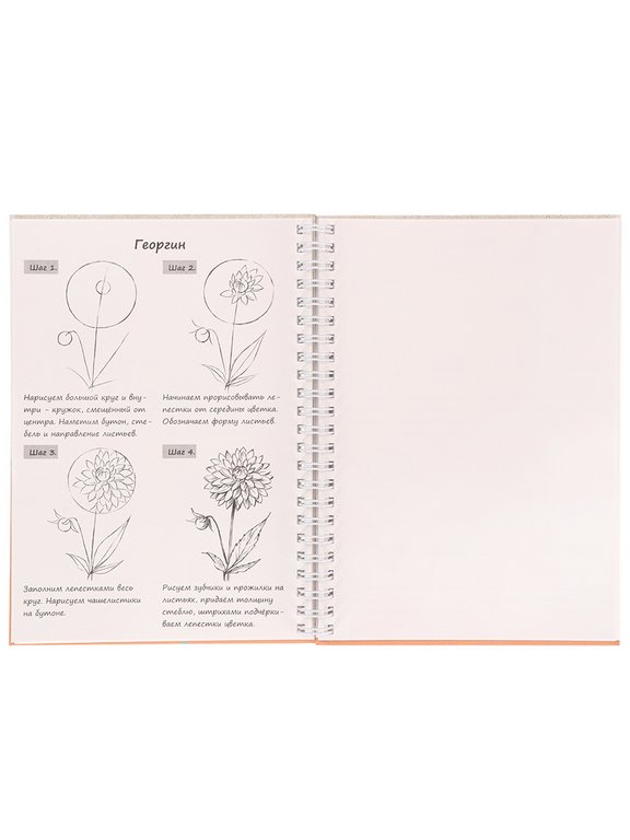 Блокнот с темат. содержанием А5 64л 148*210мм, тв. обл. на гребне Prof-Press "РИСУЙ ЛЕГКО! ЦВЕТЫ-2"