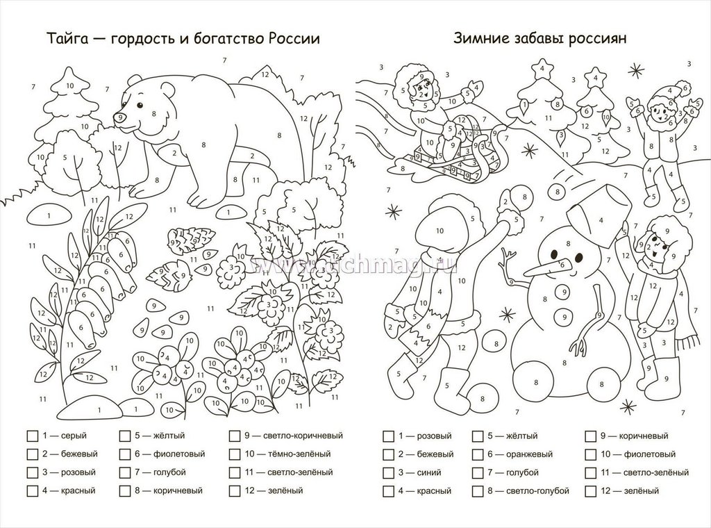 Раскраска по цифрам А4 патриотическая "Широка и величава Родина моя" (5-8 лет) 8 стр. Учитель