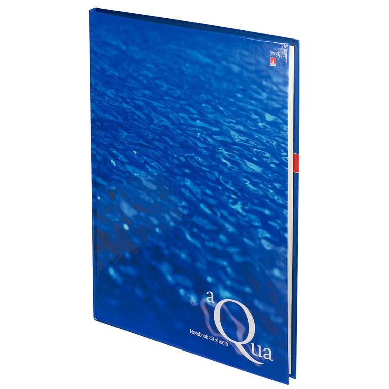Бизнес-блокнот А4  80л., 200*252 мм, Альт "ВОДА"