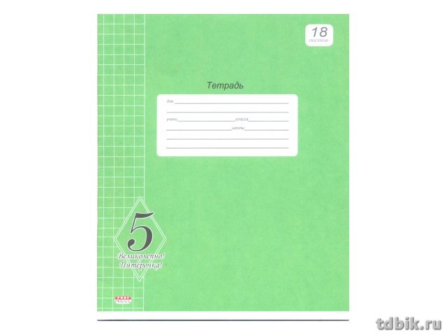 Тетрадь 18 лист кл. А5 "ВЕЛИКОЛЕПНО! ПЯТЕРКА!" зеленая Prof-Press