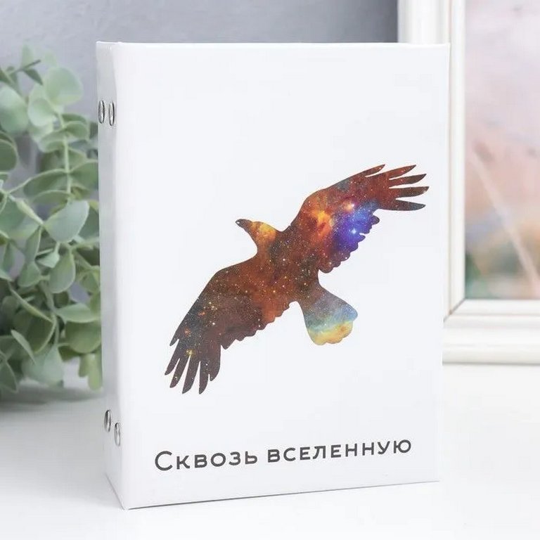 Фотоальбом  96 фото 10*15см "Орёл. Космос"