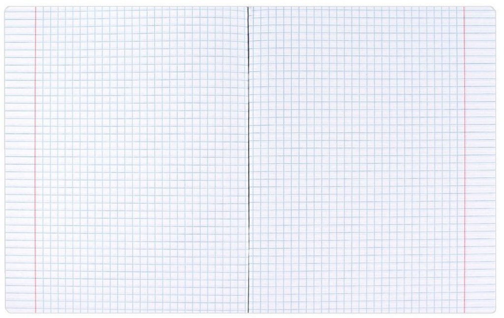 Тетрадь 48 лист кл. А5+ на скрепке, со справ. мат-ом "ФРАЗЫ С ХАРАКТЕРОМ. ФИЗИКА"