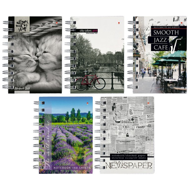 Бизнес-блокнот А6 160л., 105*148 мм, Альт 5 видов