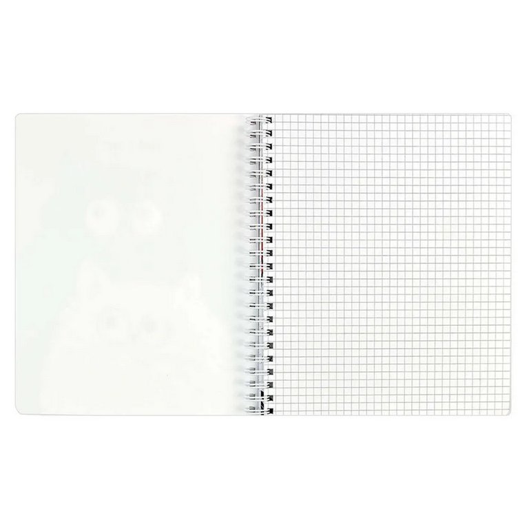 Тетрадь двойная 100 лист кл./лин. А5 на гребне "Double book" ЮНОСТЬ