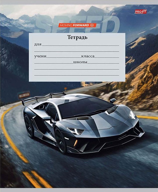 Тетрадь 12 лист лин. косая А5 "АВТО И ПЕЙЗАЖ" Profit
