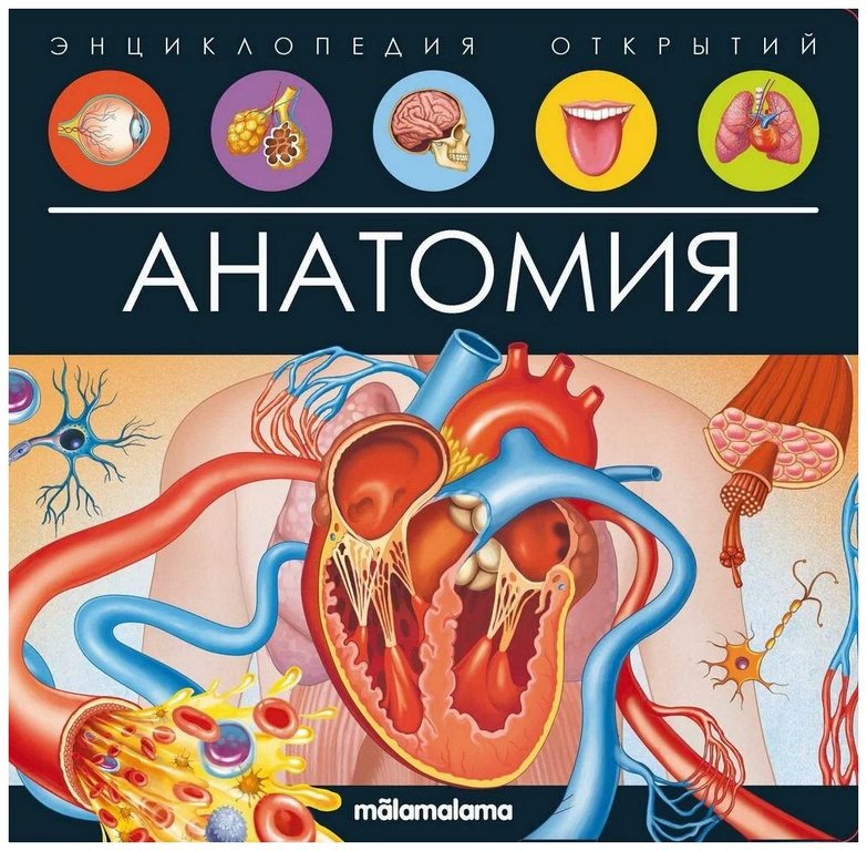 Энциклопедия 3+ "Анатомия" Malamalama