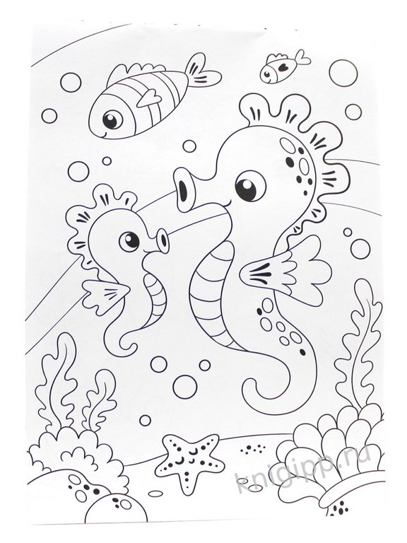 Раскраска  А5 "Животные" 16 стр.ПРОФ-пресс