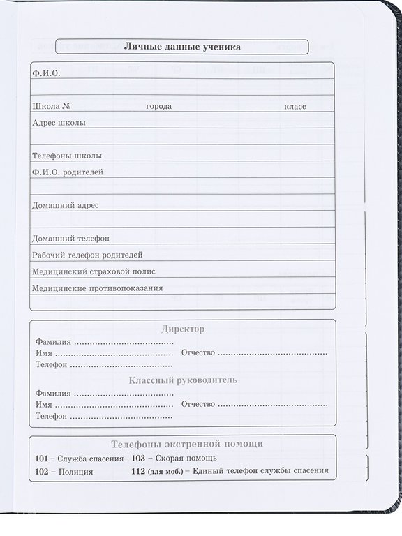 Дневник школьный Prof-Press твердая обл, кожзам, подарок в компл "КОНТРАСТНЫЕ НАУШНИКИ" 48л.