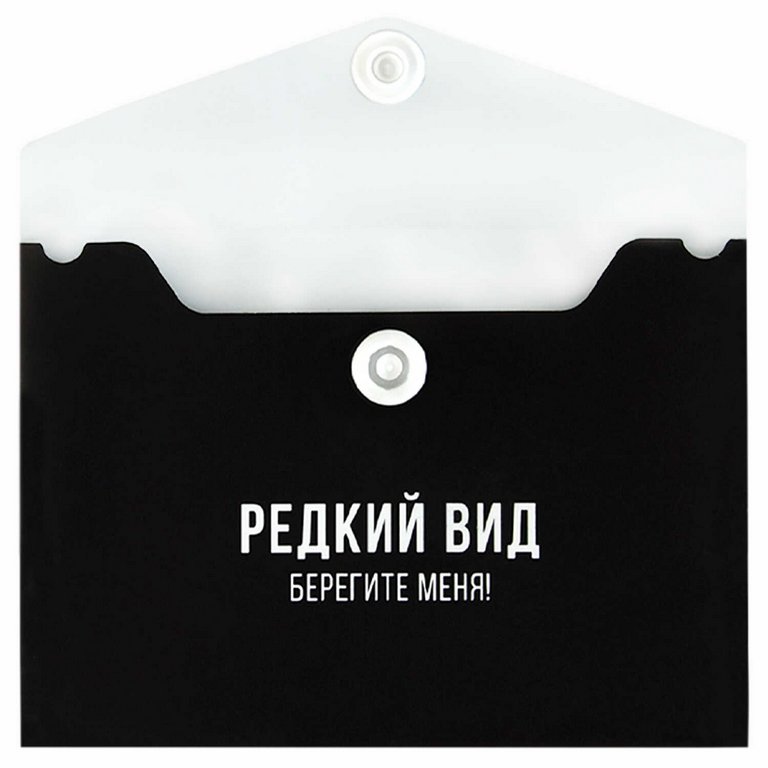 Папка-конверт на кнопке А7 (105x74 мм) пластик 0,18 мм "ФРАЗЫ С ХАРАКТЕРОМ" цв. черный