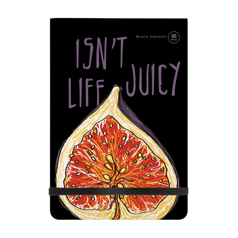 Набор подарочный BrunoVisconti "MEGAPOLIS JOURNAL. JUICY LIFE. Инжир" (Записная книжка + ручка)