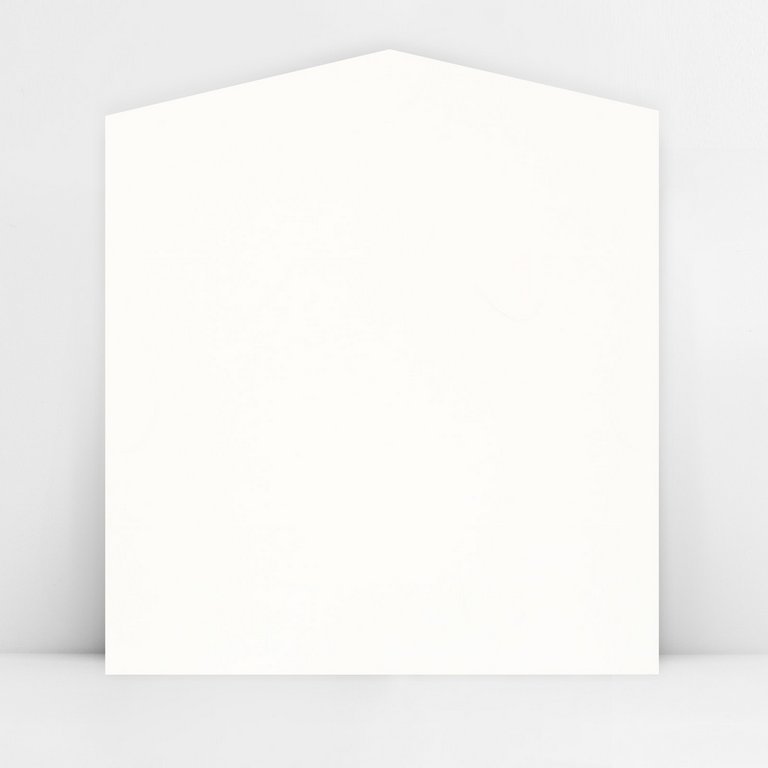 Конверт (для денег)  "Котик" формовой