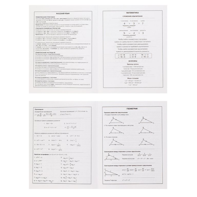 Дневник школьный твердая обложка, матовая ламинация "СЕЛФИ-ЕНОТ"