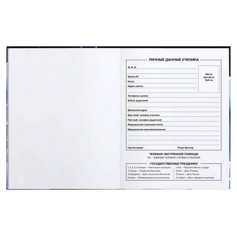 Дневник школьный твердая обложка, глянц. ламин. "НОЧНОЕ ПРИКЛЮЧЕНИЕ" 48л.