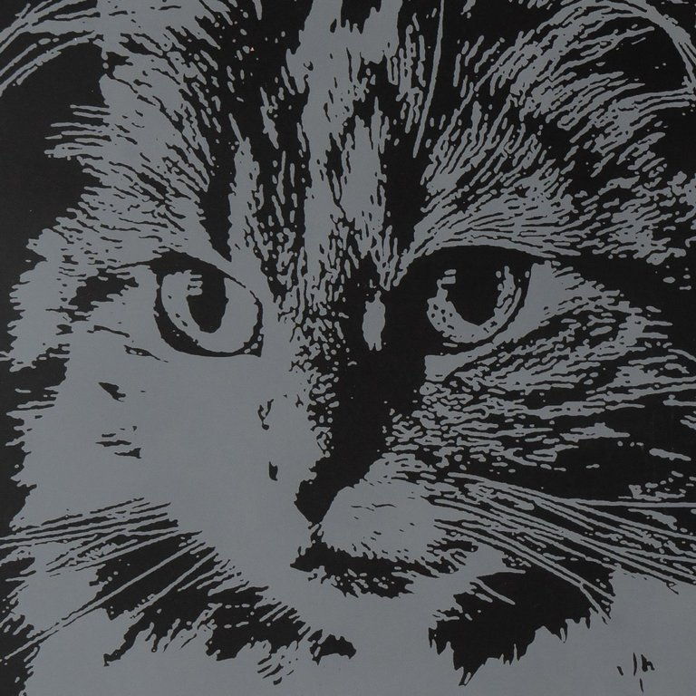 Скретчинг  А3 "Пушистая кошка" LORI