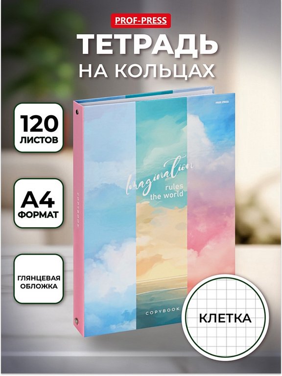 Тетрадь 120 лист кл. А4 на кольцах "Разное небо"