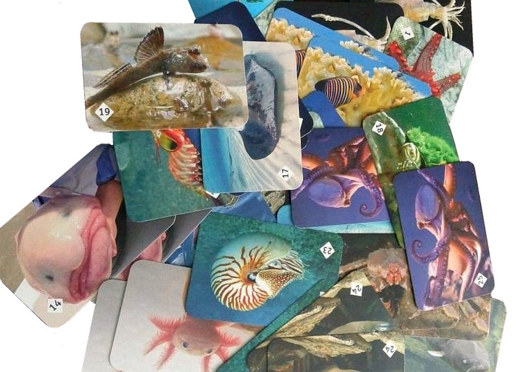 Игра настольная  Мемо "Подводный мир" Нескучные игры