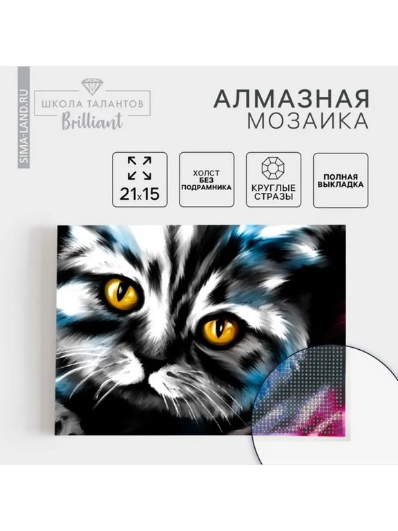 Алмазная мозаика 15*21см "Кот" Школа талантов