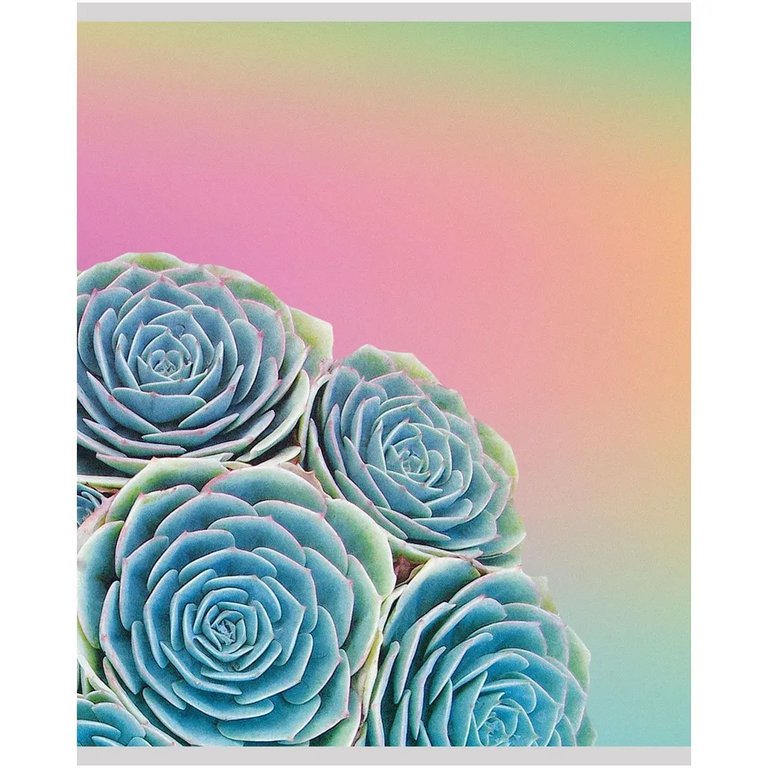 Тетрадь 96 лист кл. А5 на скрепке "Суккуленты"