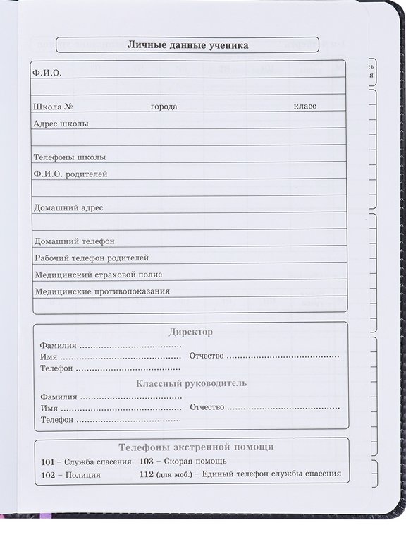 Дневник школьный Prof-Press твердая обл, кожзам, подарок в компл "МЕЧТАТЕЛЬНАЯ ДЕВУШКА" 48л.