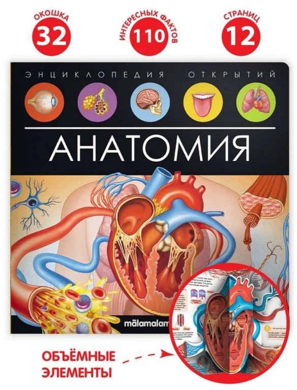 Энциклопедия 3+ "Анатомия" Malamalama