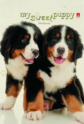 Блокнот А7  40л.,  68*104 мм, на гребне "Чудо-Щеночки"