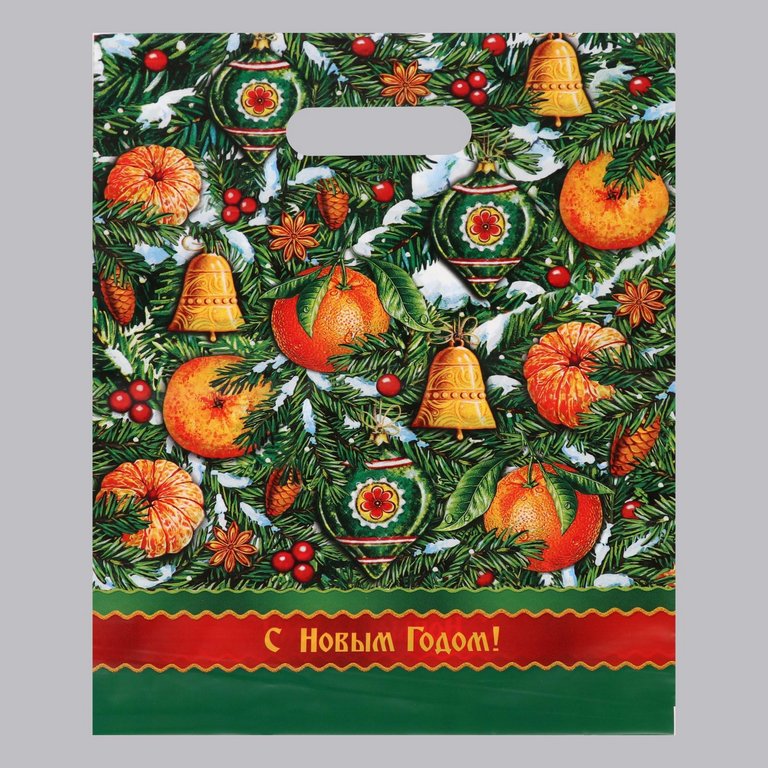 Пакет пробивной НГ 31*40 см (60 мкм) "Холидей"