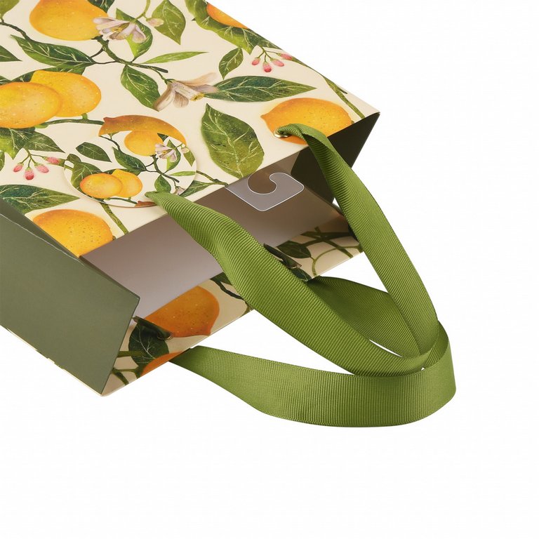 Пакет бумажный 18*23см матовый "Flora. Лимоны" BrunoVisconti