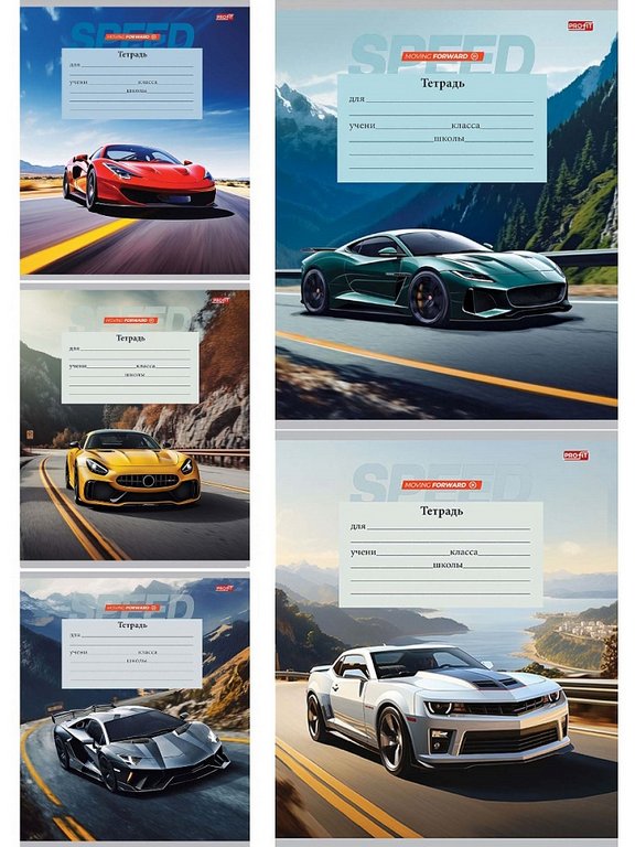 Тетрадь 12 лист лин. косая А5 "АВТО И ПЕЙЗАЖ" Profit