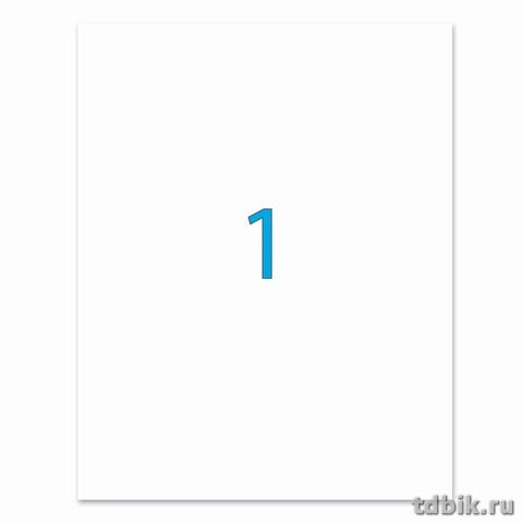 Этикетки самоклеящиеся из полиэстера А4 210*297 белые 1 этикетка