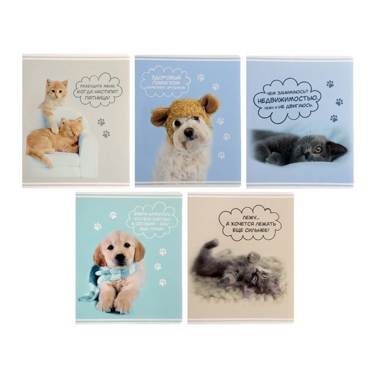 Тетрадь 60 лист кл. А5 на скрепке "Rachael Hale"