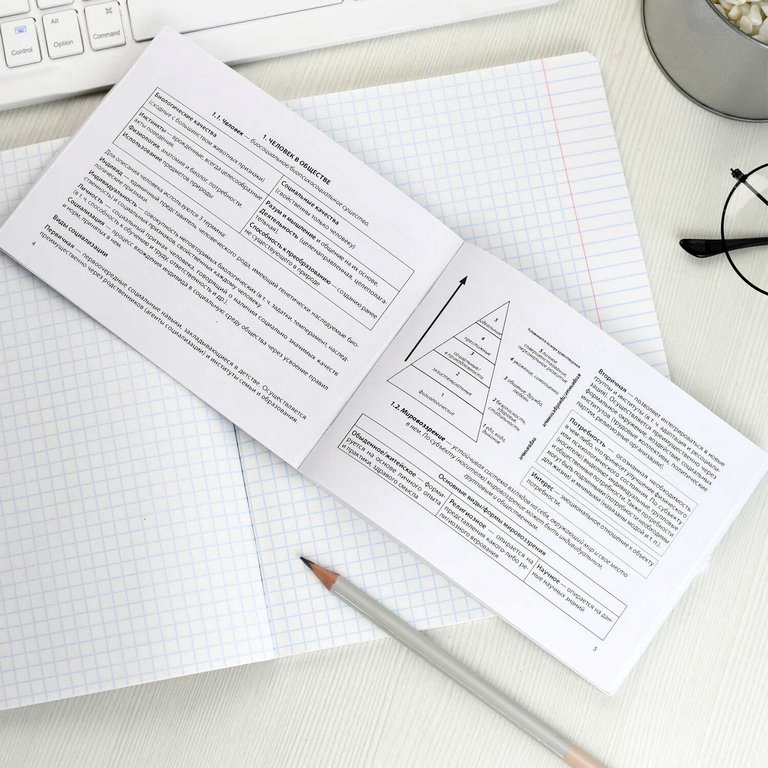 Шпаргалка для подготовки к экзаменам "Обществознание" (ОГЭ, ЕГЭ, ВПР) 40л 140*100мм