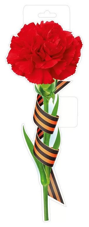 Плакат оформительский  военный А3 "Красная гвоздика с георгиевской лентой"