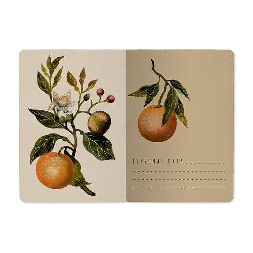 Тетрадь 32 лист лин. А6 на сшивке "FLORA.АПЕЛЬСИНЫ"