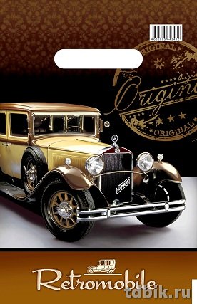 Пакет пробивной 20*30см (30 мкм) "Ретромобиль" ПВД