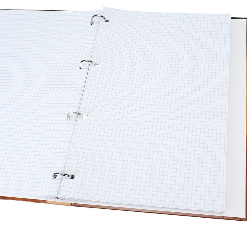 Тетрадь 120 лист кл. А4 на кольцах "ТИГР В ПУСТЫНЕ" тв. обл. Проф-Пресс