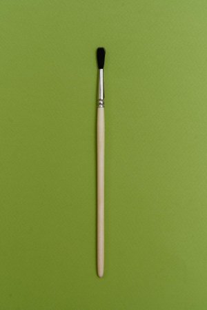 Кисть Белка №10 круглая живописная Эдельвейс