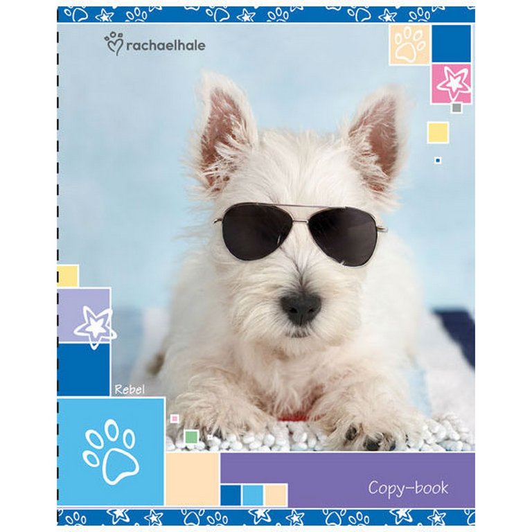 Тетрадь 96 лист кл. А5 на скрепке "Rachael Hale" полн. УФ