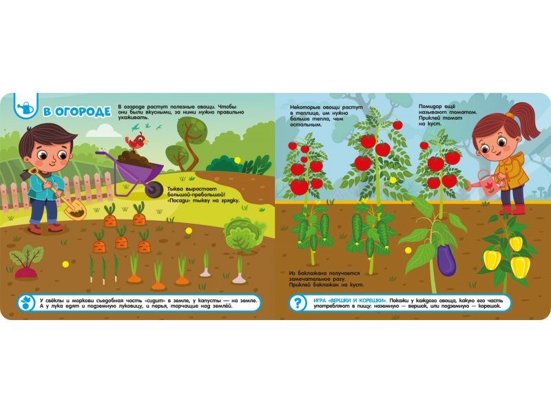 Книга с липучками "Фрукты и овощи" Росмэн