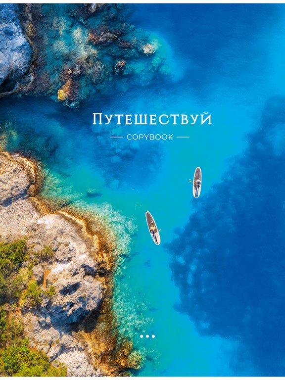 Тетрадь 80 лист кл. А5+ на кольцах "ПУТЕШЕСТВУЙ" тв. обл. Проф-Пресс