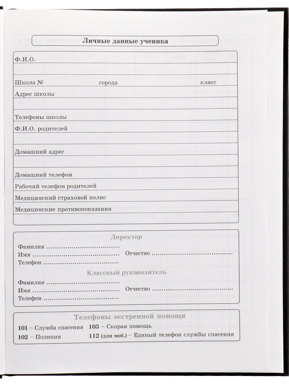 Дневник для мл/кл. Prof-Press твердая обложка, мат. ламинация, выб. лак "ВНЕДОРОЖНИК" 48л.