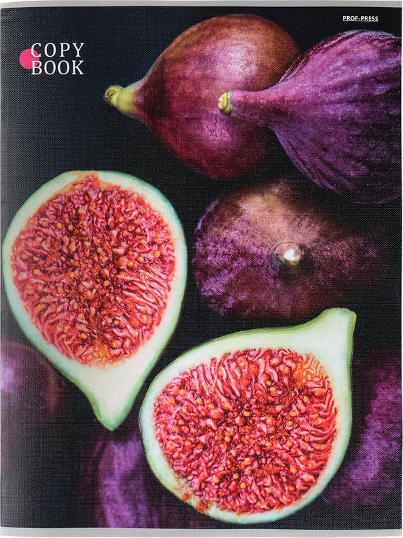 Тетрадь 96 лист кл. А4 на скрепке "ЯРКИЙ ИНЖИР" Проф-Пресс