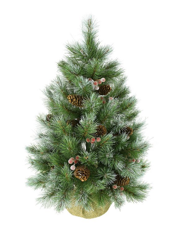 Ель декоративная   0,60 м "Ice Tiffany" в мешке, шишки/ягоды (леска, 90вет., 7яр., d=40см) BEATREES